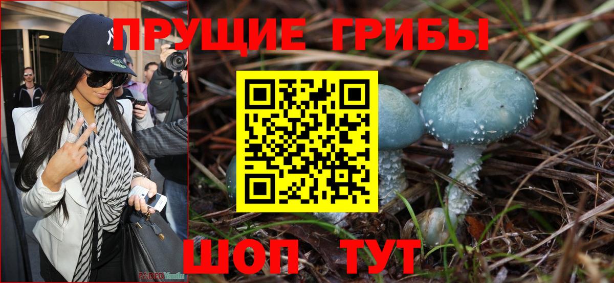 Псилоцибиновые грибы прущие грибы  Вход с VPN  Галлюциногенные грибы ЛСД  Вичуга 